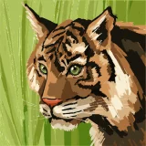 pravin