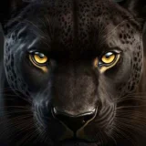 Pragadhish. S