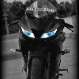 MS CREATION
