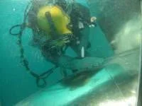 http://www.seaward-marine.com/files/thumb/cc955288aa1444e/200