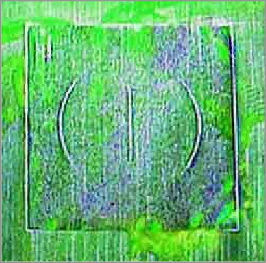 Introduction to Magnetic Particle Testing Introduction to Magnetic Particle Testing