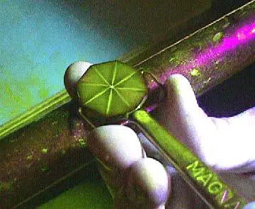 Introduction to Magnetic Particle Testing