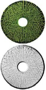 Introduction to Magnetic Particle Testing
