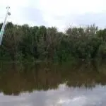 Profile photo of bb-charles