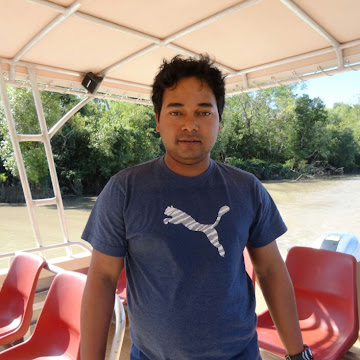 Profile photo of Animesh Roy