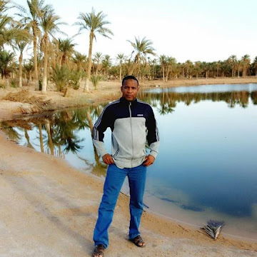 Profile photo of Ahmed Sadi