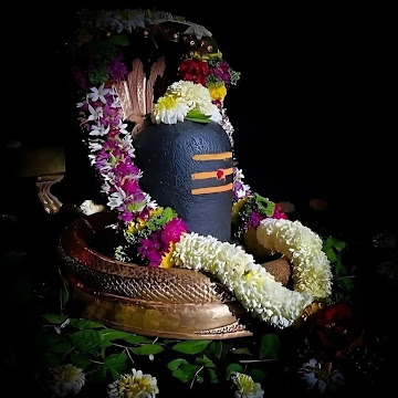 Profile photo of Ram Nivas