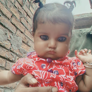 Profile photo of Shailendra Kumar