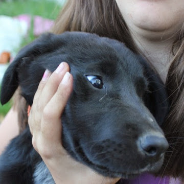 Profile photo of Rebecca Lankford