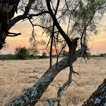 Profile photo of Gabriel Sanchez