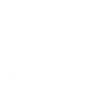 Tripatra